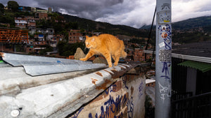 Tour Experencial Comuna 13 Ezencial + Teje tu propio souvenir