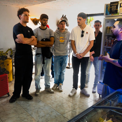 Tour Experencial Comuna 13 Ezencial + Teje tu propio souvenir